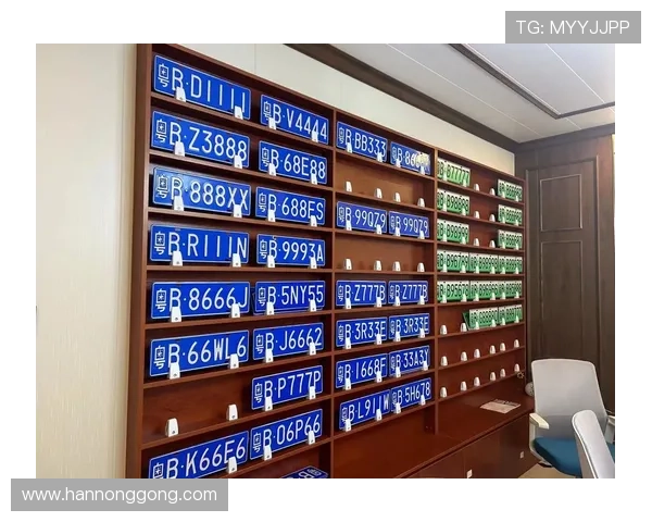 2.4万个粤B车牌新号码将投放,市民可自编选号