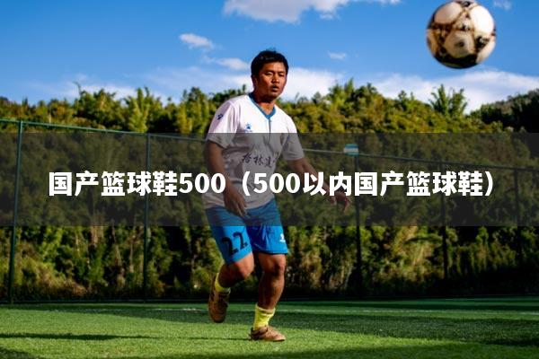 国产篮球鞋500（500以内国产篮球鞋）