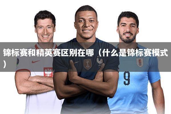 锦标赛和精英赛区别在哪(什么是锦标赛模式)