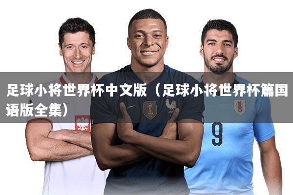 足球小将世界杯中文版（足球小将世界杯篇国语版全集）