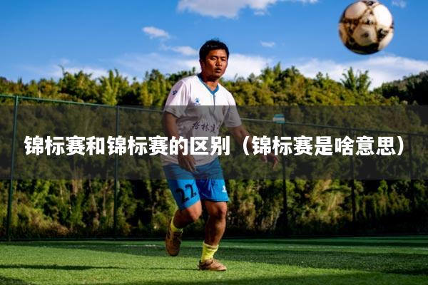 锦标赛和锦标赛的区别（锦标赛是啥意思）