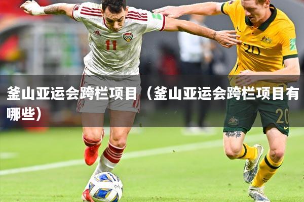 釜山亚运会跨栏项目（釜山亚运会跨栏项目有哪些）