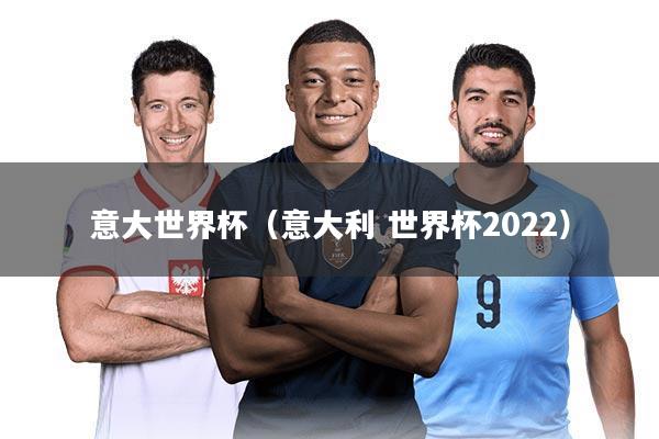 意大世界杯（意大利 世界杯2022）